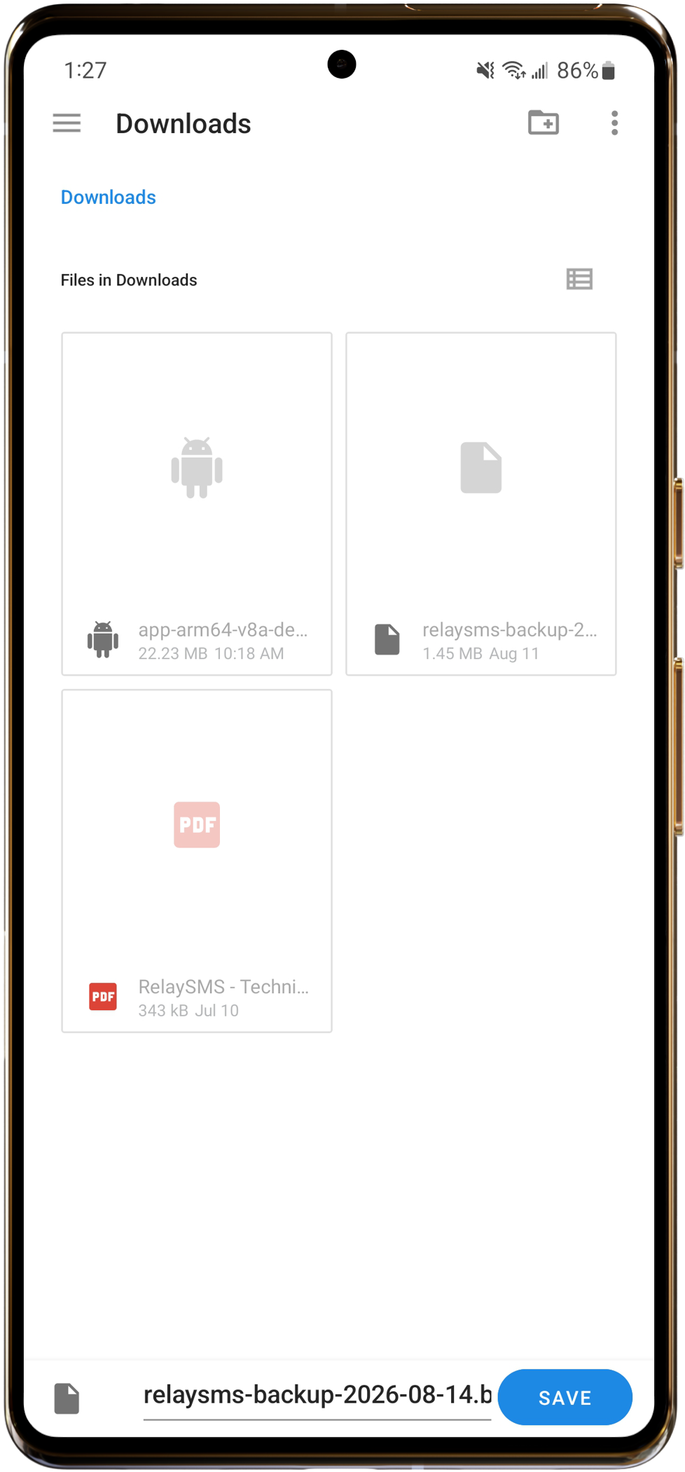 Backup screen 2