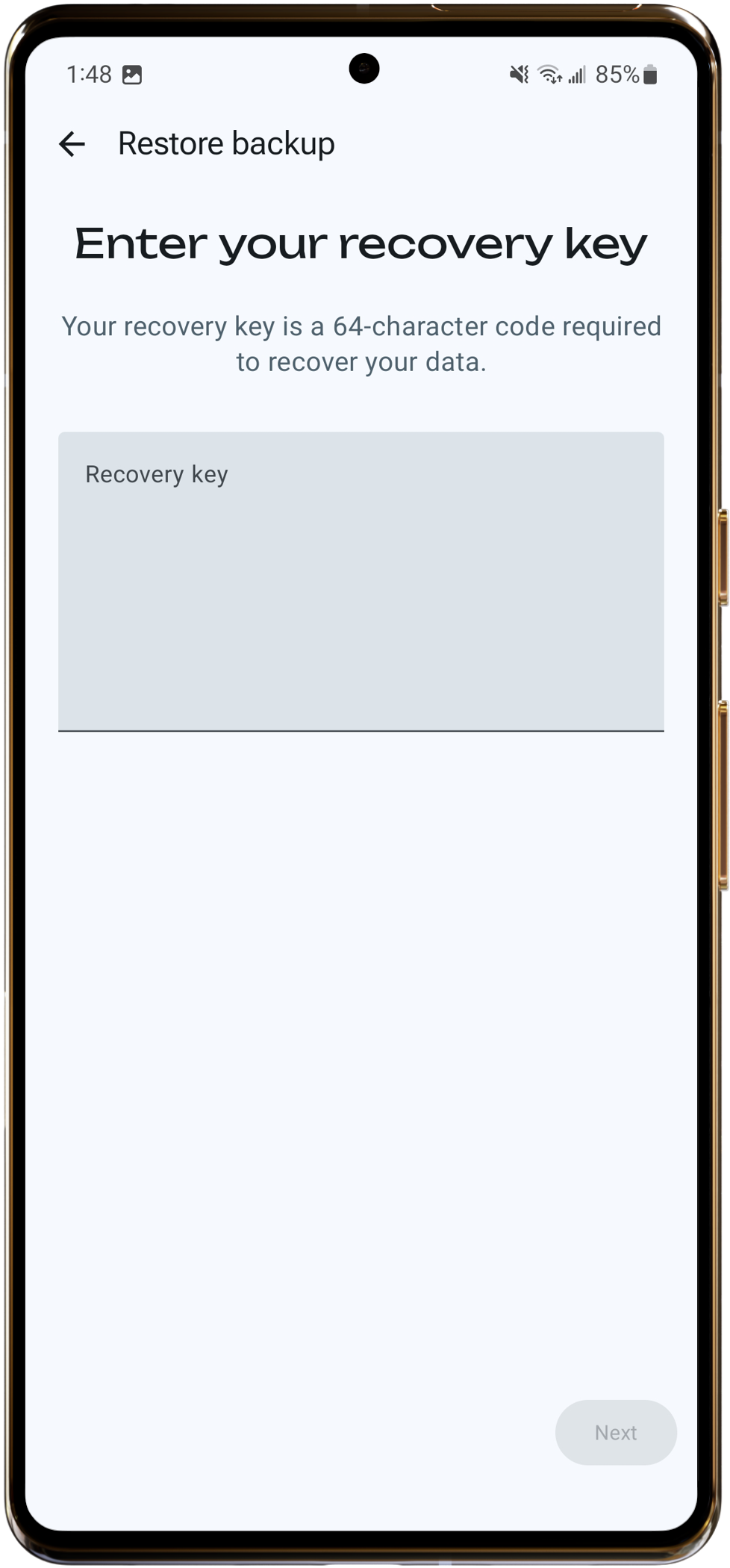 Restore back-up
