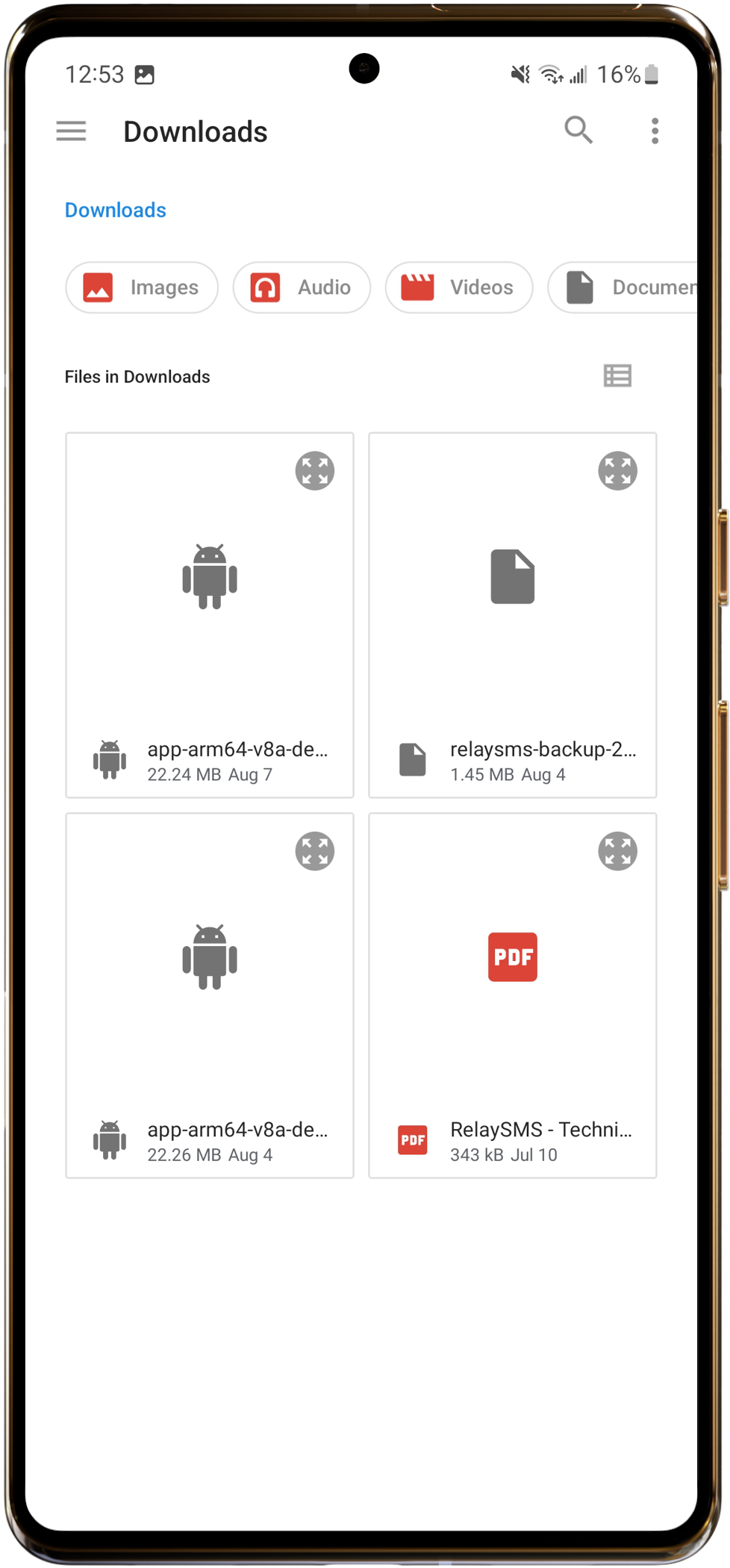 restore back-up